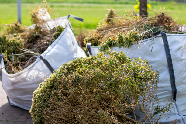 Best Basement Cleanout Services  in Elkhorn, WI